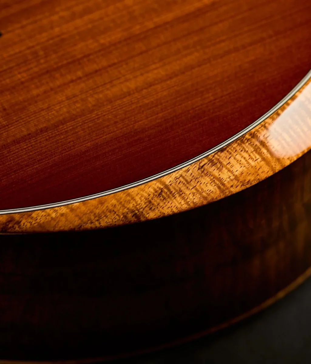 About - Taylor Guitars Customs Gallery