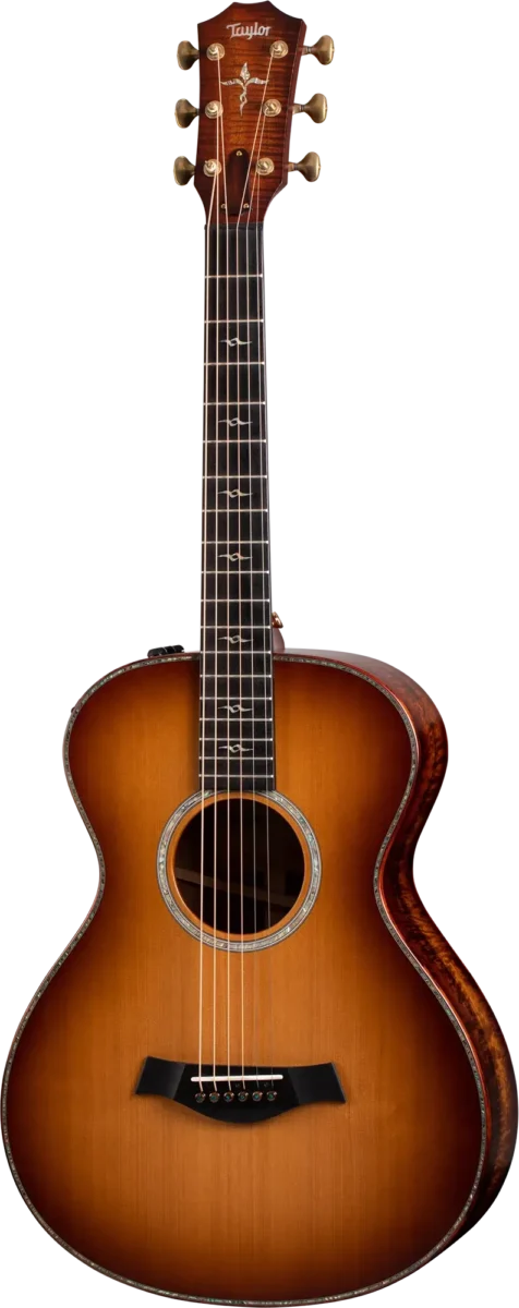 Guitar Gallery - Taylor Guitars Customs Gallery