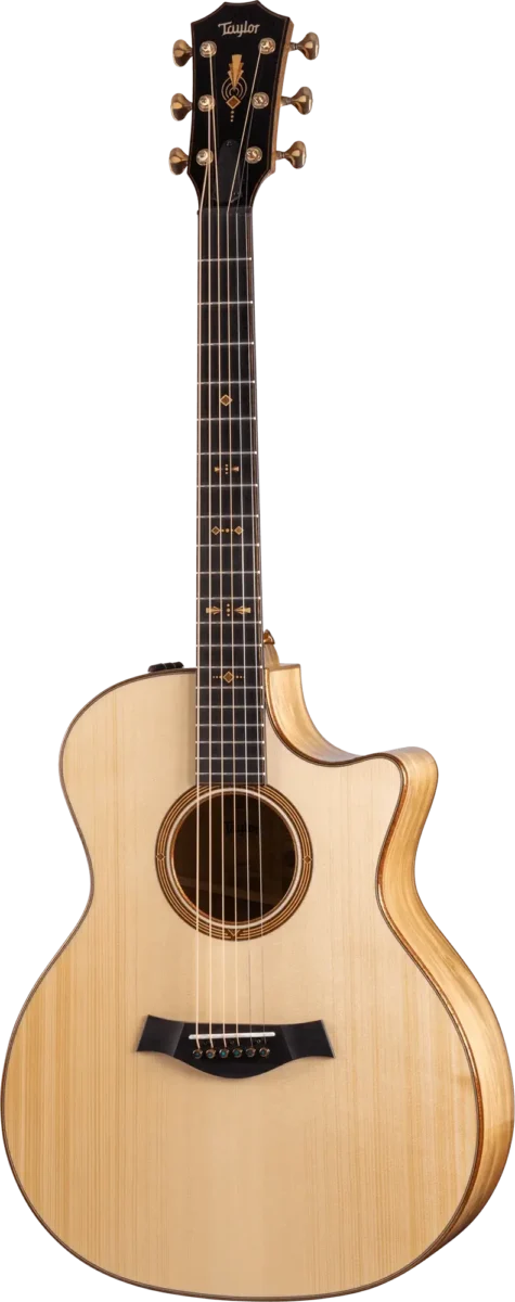 Guitar Gallery - Taylor Guitars Customs Gallery