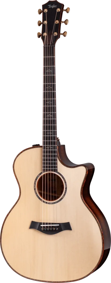 Guitar Gallery - Taylor Guitars Customs Gallery