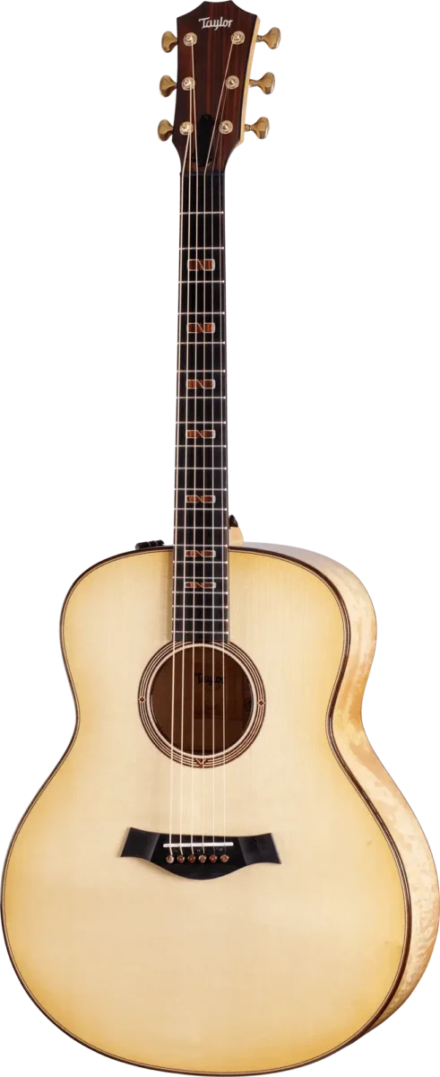 Guitar Gallery - Taylor Guitars Customs Gallery