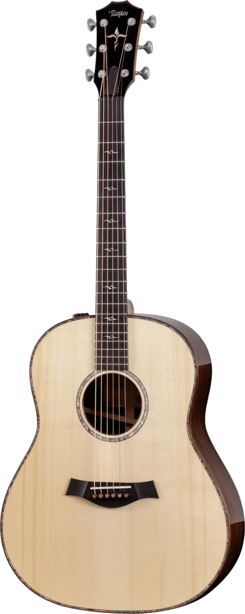 Guitar Gallery - Taylor Guitars Customs Gallery
