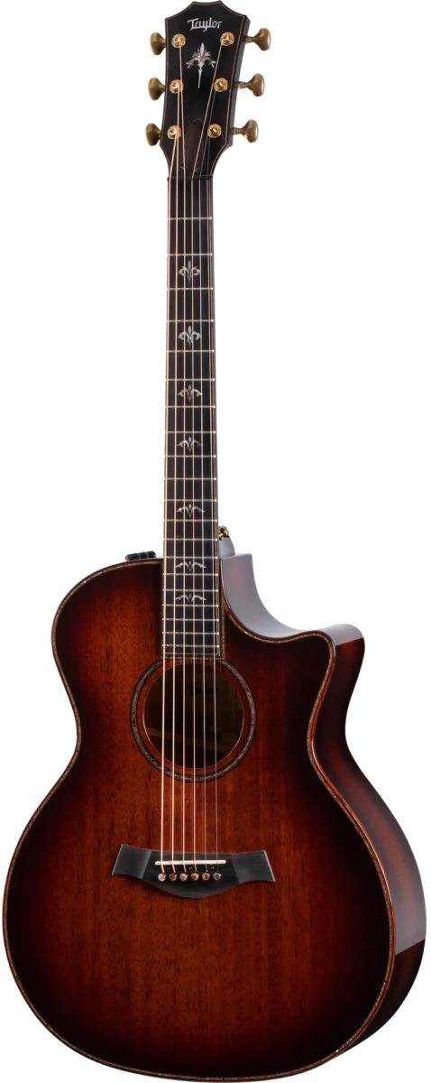 Guitar Gallery - Taylor Guitars Customs Gallery