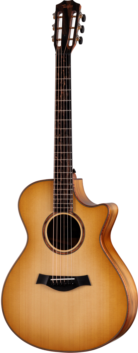 Guitar Gallery - Taylor Guitars Customs Gallery