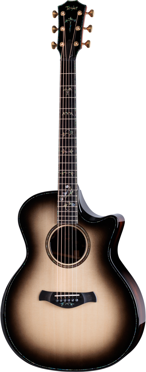 Guitar Gallery - Taylor Guitars Customs Gallery