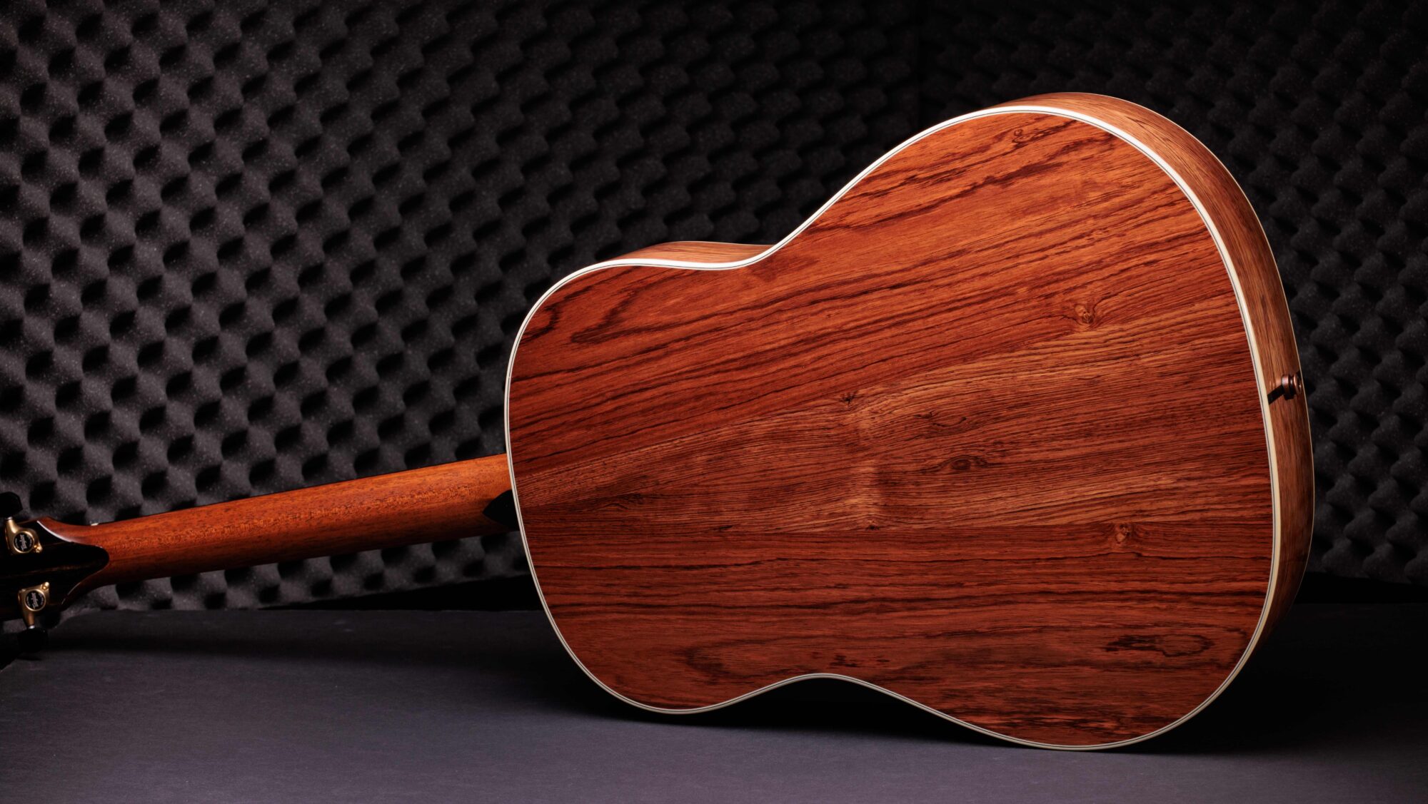 Guitar Gallery - Taylor Guitars Customs Gallery